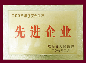 2008年度安全生产先进单位
