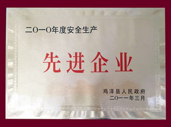 2010年度安全生产先进单位